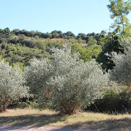 Guest house Campagne La Forge Valensole