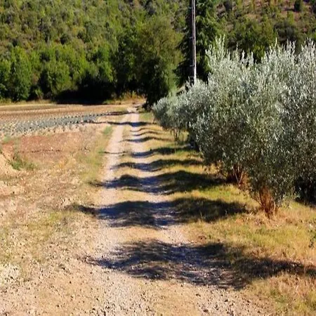 Guest house Campagne La Forge Valensole