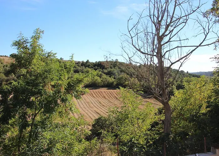 Guest house Campagne La Forge Valensole