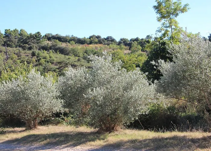 Guest house Campagne La Forge Valensole