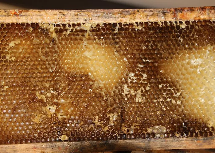 Guest house Campagne La Forge