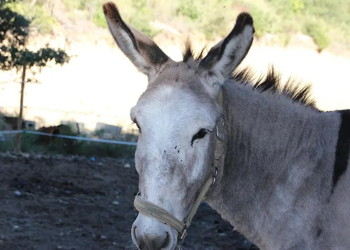 Guest house Campagne La Forge *