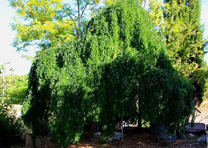 Guest house Campagne La Forge