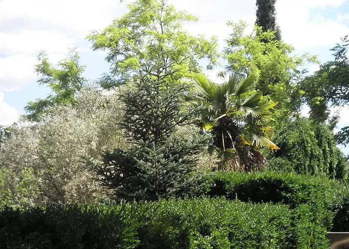 Campagne La Forge Valensole