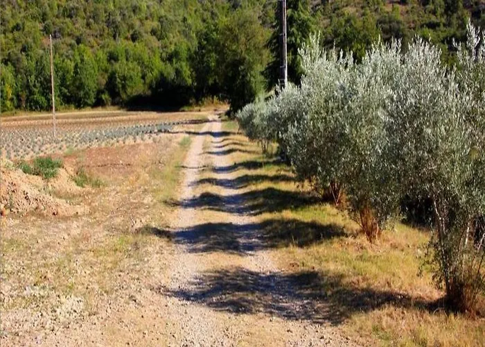 Guest house Campagne La Forge Valensole